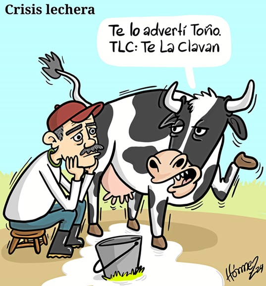 Caricatura 24 de agosto del 2024