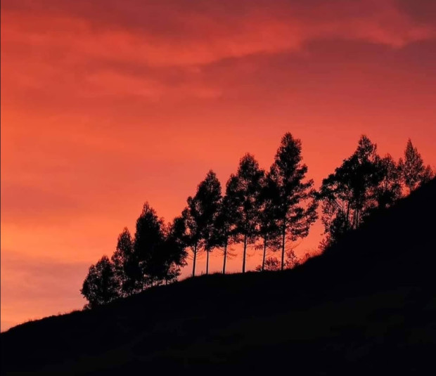 “Tarde de domingo”, por John Gallego desde Manizales.