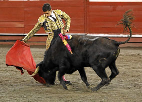 Sergio Alzate tuvo a Monarca, de 340 kilos, un novillo muy accidentado, pues por la entrada que tuvo no parecía apto para una buena faena, pero después fue cogiendo casta y embistió con propiedad permitiéndole al torero lucirse en el ruedo.