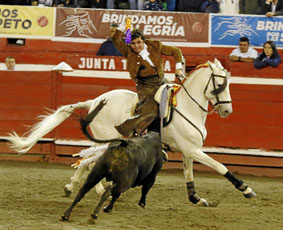 El rejoneador Juan Simón se apresta para poner una banderilla a Manchadito, de 300 kilos.