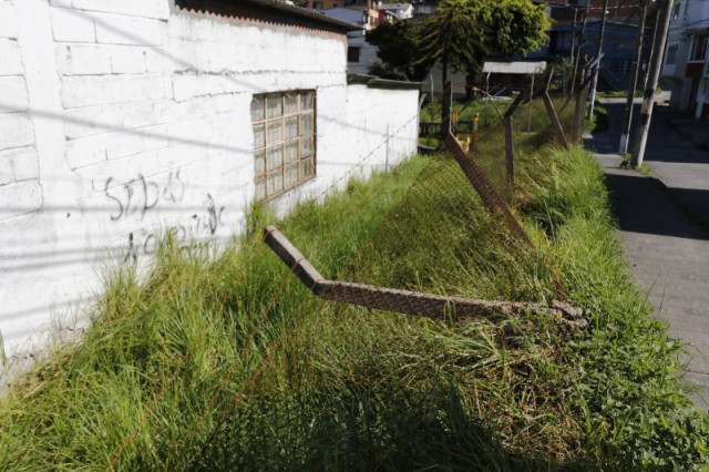 Las mallas se encuentran rotas y en uno de los costados del colegio están caídas. 