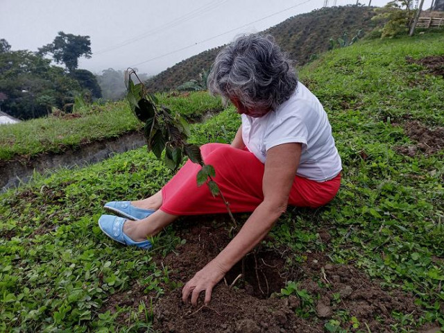 Un árbol por las víctimas Foto | LA PATRIA