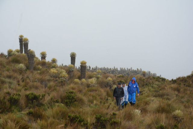 valle de frailejones finca El Delirio