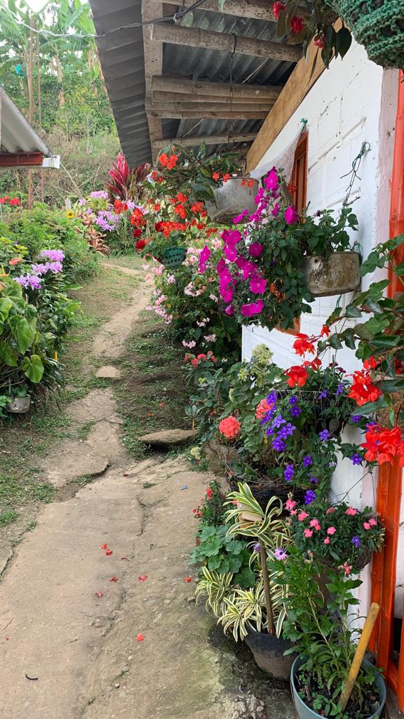 La pared se esconde detrás de las flores.