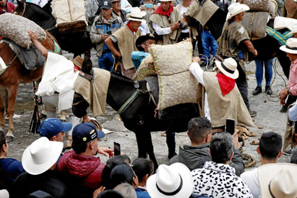 El concurso de arrieria se realizó el domingo en el Parque Principal.