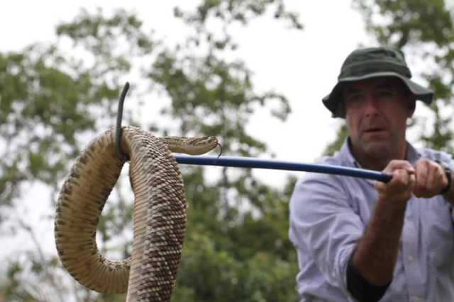 Foto|Cortesía|LA PATRIA