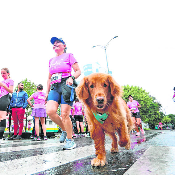 Las mascotas también hicieron parte de la carrera.