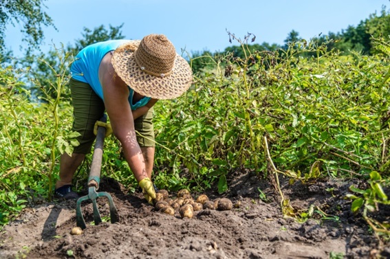 Dudan de las cifras Foto|Cortesía Finagro|LA PATRIA