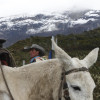 Campesinos salen con sus pertenencias y ganado del volcán Nevado del Ruiz, en Murillo (Tolima)