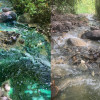 Alertan extraña coloración en la quebrada Cristales por Maltería (Manizales)