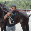 Elongación (estiramiento) de los músculos del cuello del caballo.