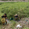 Dos personas recolectan agua de un arroyo, el 27 de marzo, en Guataca, corregimiento de Santa Cruz de Mompox (Bolívar). 