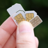 Persona sosteniendo sim cards