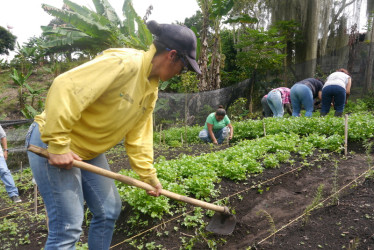 Asociación de mujeres Pétalo Verde