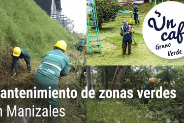 Un Café de grano verde, para hablar del mantenimiento de las zonas verdes en Manizales