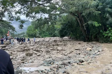 El derrumbe se dio en el tramo de la vía entre La Felisa (corregimiento de La Merced) y La Pintada (Antioquia).