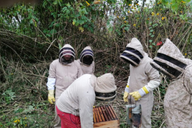 Miel de Abejas