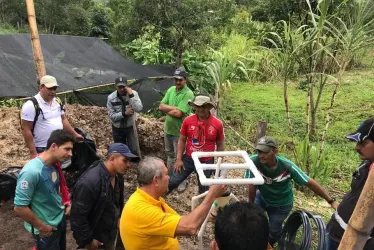 Caficultura es descontaminada con filtros verdes