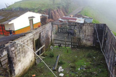 Puerto Buñuelo es un paraje en el camino de Pensilvania a los corregimientos de Arboleda o de Pueblo Nuevo, en el oriente de Caldas, en el límite con Antioquia. 