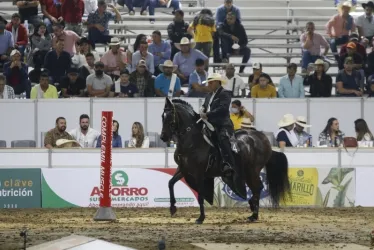 Los manizaleños podrán admirar 350 caballos de paso fino provenientes de Antioquia, Valle, Cundinamarca, Ibagué y el Eje Cafetero en la 66 Feria equina grado A que se realizará este puente festivo en Expoferias.