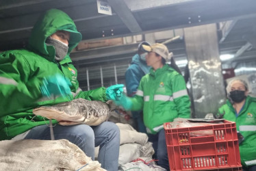 El pescado debe estar fresco y en óptimas condiciones para el consumo humano para poderse vender.