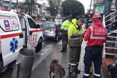 Sitio del accidente de tránsito en el barrio La Enea. 