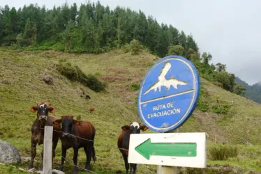 Sector ganadero, cerca del Nevado del Ruiz