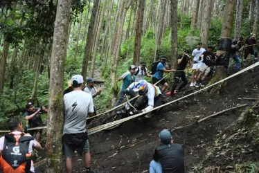 El campeón Loic Bruni en su desceso. 