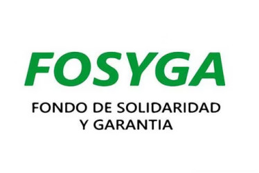 Logo del Fosyga