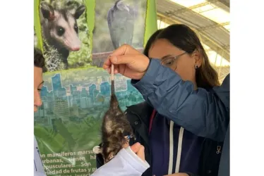 Los estudiantes se familiarizaron con el mamífero.