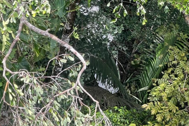 Esta es la zona en donde cayó la avioneta. 