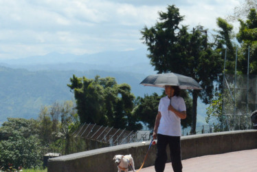 El uso de una sombrilla podría protegerlo en esas salidas inevitables con el perro. Evite caminatas extensas.