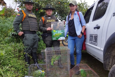 Se rescataron cinco loros y una ardilla.