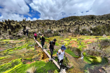 El río de los Siete Colores es uno de los atractivos que tiene el Parque Nacional Natural (PNN) Los Nevados, cerca del volcán Nevado del Ruiz. Desde el pasado jueves, después de cuatro meses, el Parque abrió sus puertas al público. Los turistas podrán visitar esta ruta y disfrutar de los paisajes y actividades dentro del Parque y cerca del Nevado.