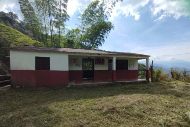 La escuela de Las Mercedes queda en una loma, a la cual se llega por un ramal de la vía que llega al corregimiento de Pueblo (Pensilvania).