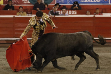 Los interesados en asistir a la XXIV Temporada de Toros y Ciudad ya pueden reclamar las boletas en las taquillas de la Plaza de Toros, entre las 9:00 a.m y 5:00 p.m.