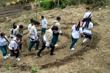 Estudiantes de la Institución Educativa Miguel Antonio Caro, de la vereda Cuchilla del Salado (Manizales) trabajan en su proyecto 'Espiral de los Aromas'.