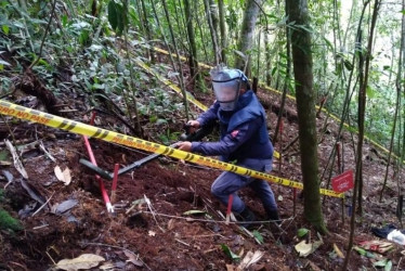 Labor de destrucción reciente de una mina en Samaná.