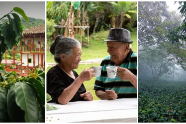 Estas fueron las tres fotos ganadoras en el concurso.