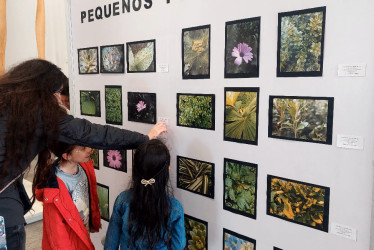 El resultado de la exposición Pequeños fotógrafos estará el resto de noviembre en el primer piso del Banco de la República.