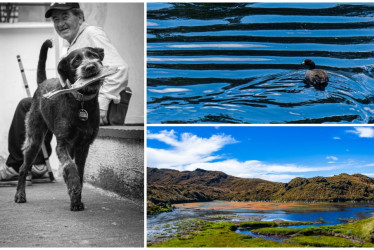 Pepe Tenaz, en la categoría Animales; Michael Alzate, en Paisajes, y Sebastián Timarán, en Vida Cotidiana, son los tres ganadores del concurso de fotografía.