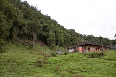 22 hectáreas para proteger el río Oro compró la Gobernación de Caldas.