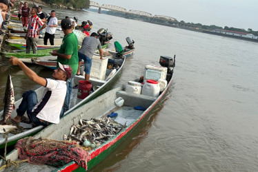 Llegó la primera subienda a La Dorada 