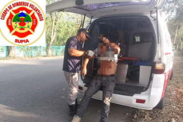 Rama de árbol cayó sobre motociclista en Supía