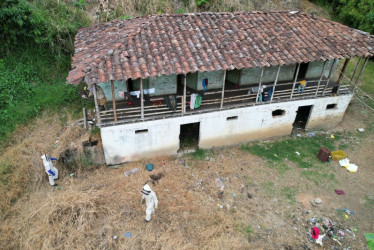 Cinco menores fueron picados por abejas en Belalcázar