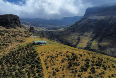 Predios Romeral II y Azufrales de Chec en límites del PNN Los Nevados