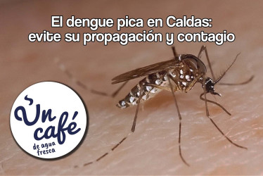 El dengue pica en Caldas: evite su propagación y contagio 