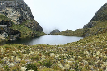 El páramo de Santurbán está localizado entre Santander y Norte de Santander.