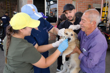 Jornada veterinaria