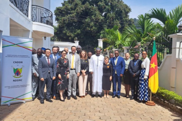 Reunión con el coordinador del Comité Nacional para el Desarme, la Desmovilización y la Reintegración de Camerún.